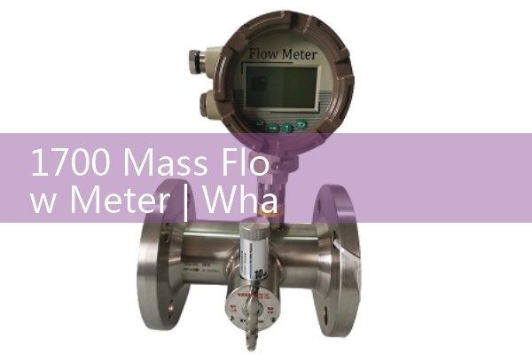 1700 mass flow meter